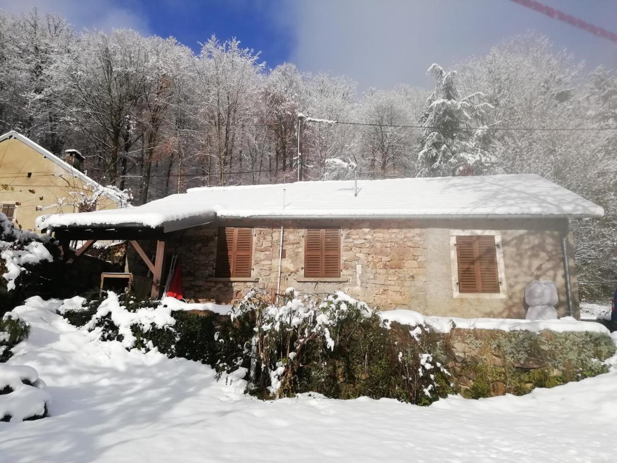 Gite Rural Les Maires D'Avaux Saint-Bresson Exteriör bild