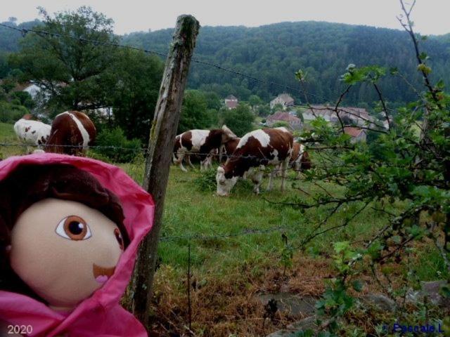 Gite Rural Les Maires D'Avaux Saint-Bresson Exteriör bild
