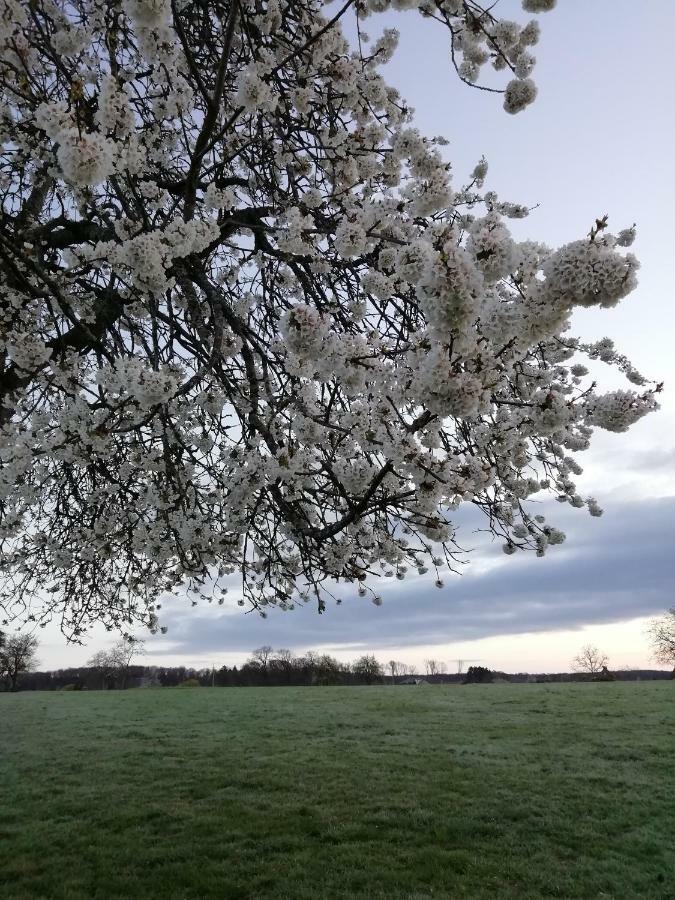 Gite Rural Les Maires D'Avaux Saint-Bresson Exteriör bild